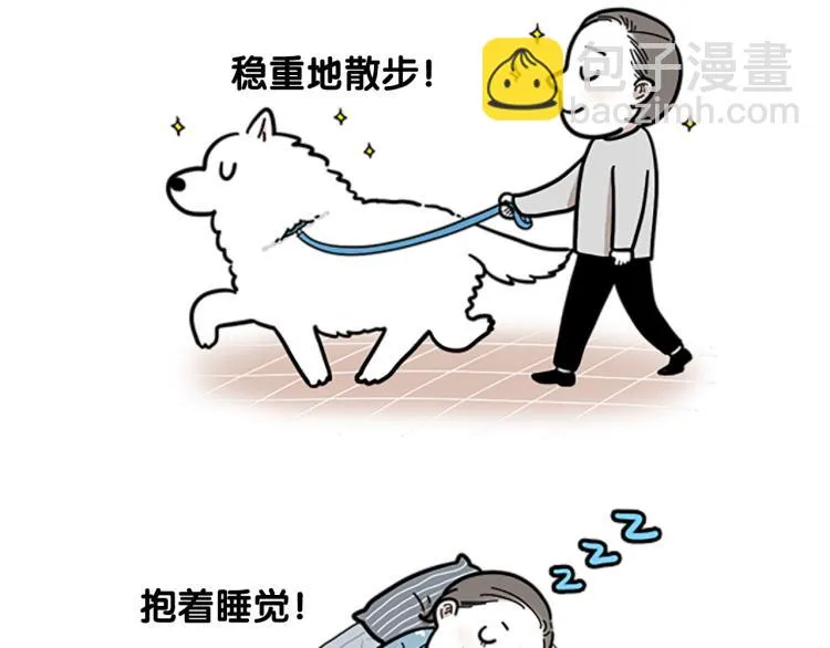 序章 我有一只萨摩耶 第4页