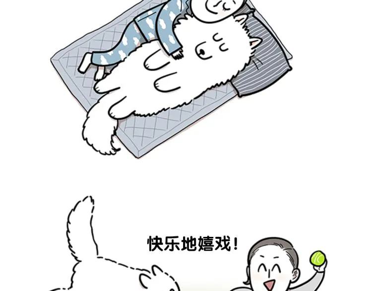 序章 我有一只萨摩耶 第5页