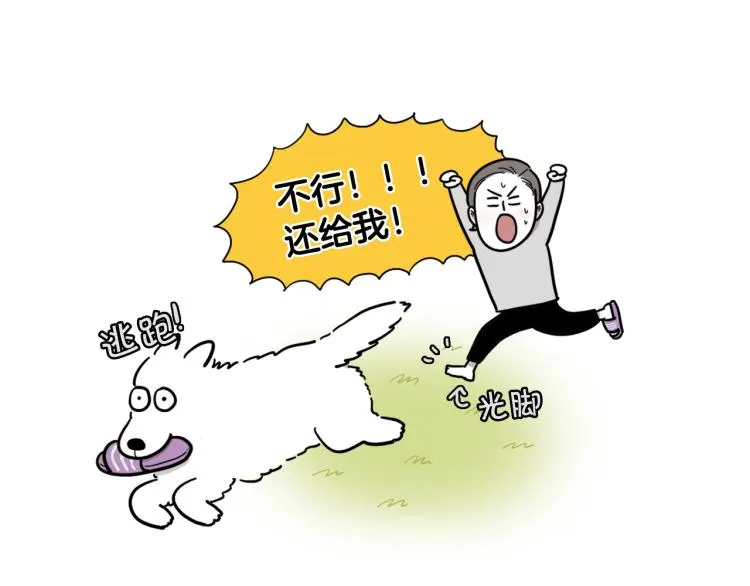 序章 我有一只萨摩耶 第10页