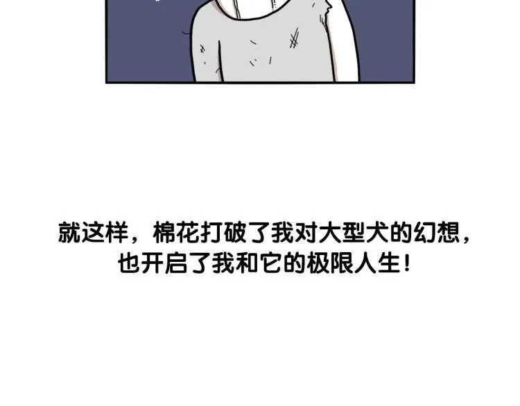 序章 我有一只萨摩耶 第13页