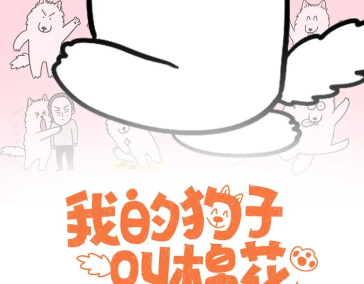 第4话 训练狗狗大作战！ 第2页