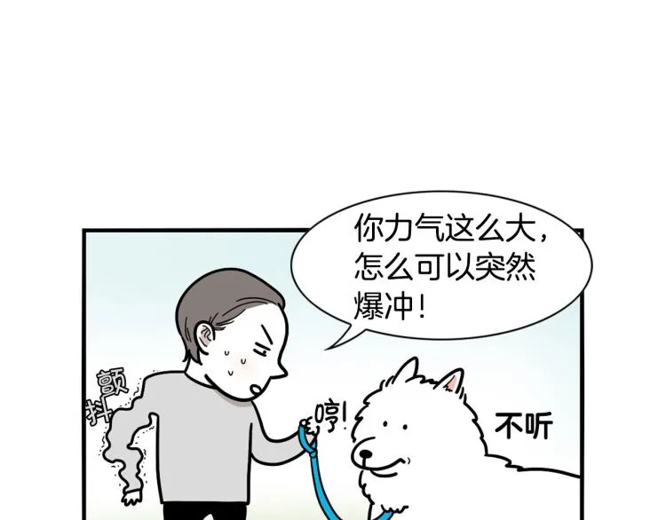 第4话 训练狗狗大作战！ 第11页