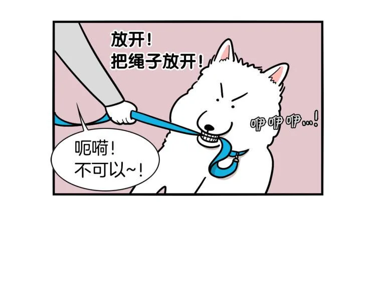 第4话 训练狗狗大作战！ 第14页