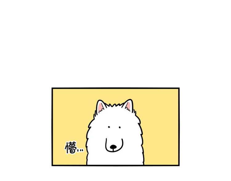 第4话 训练狗狗大作战！ 第19页