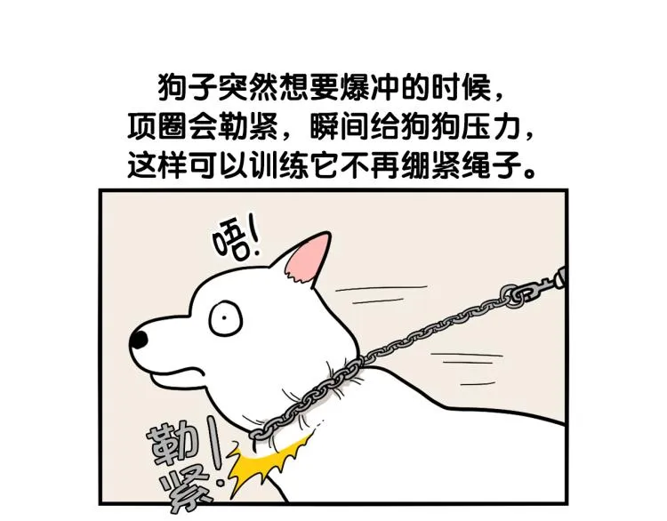 第4话 训练狗狗大作战！ 第44页