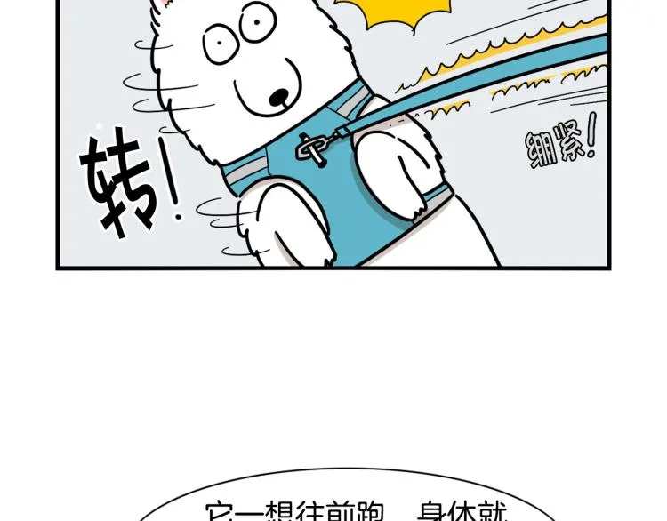 第4话 训练狗狗大作战！ 第60页