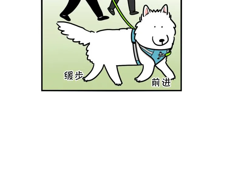 第4话 训练狗狗大作战！ 第78页