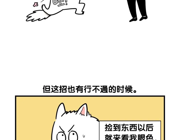 第5话 乱吃东西的狗子 第36页