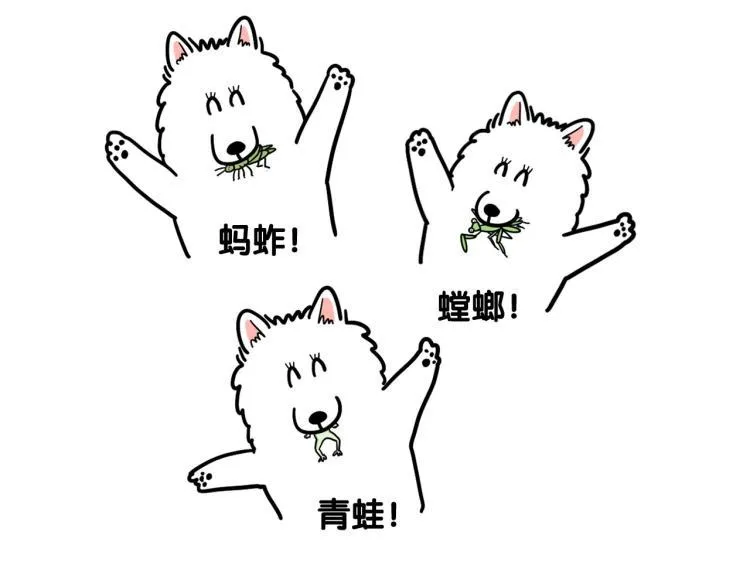 第17话 酷爱捡东西 第66页