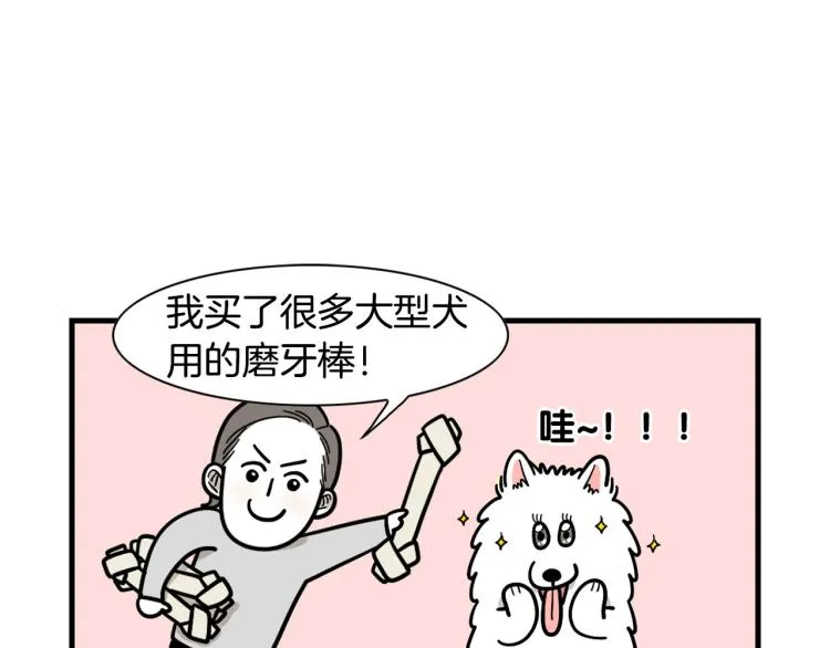 第19话 藏磨牙棒 第5页