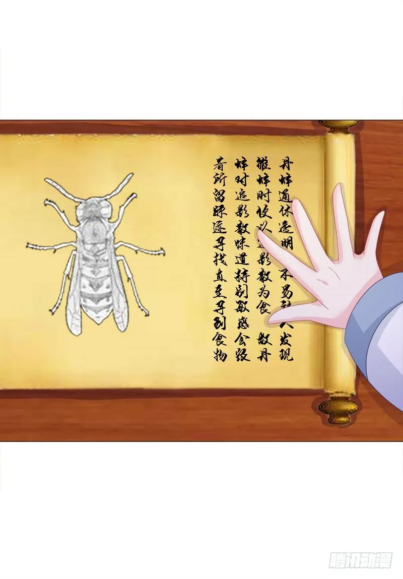 34、丹蜂觅踪 第10页