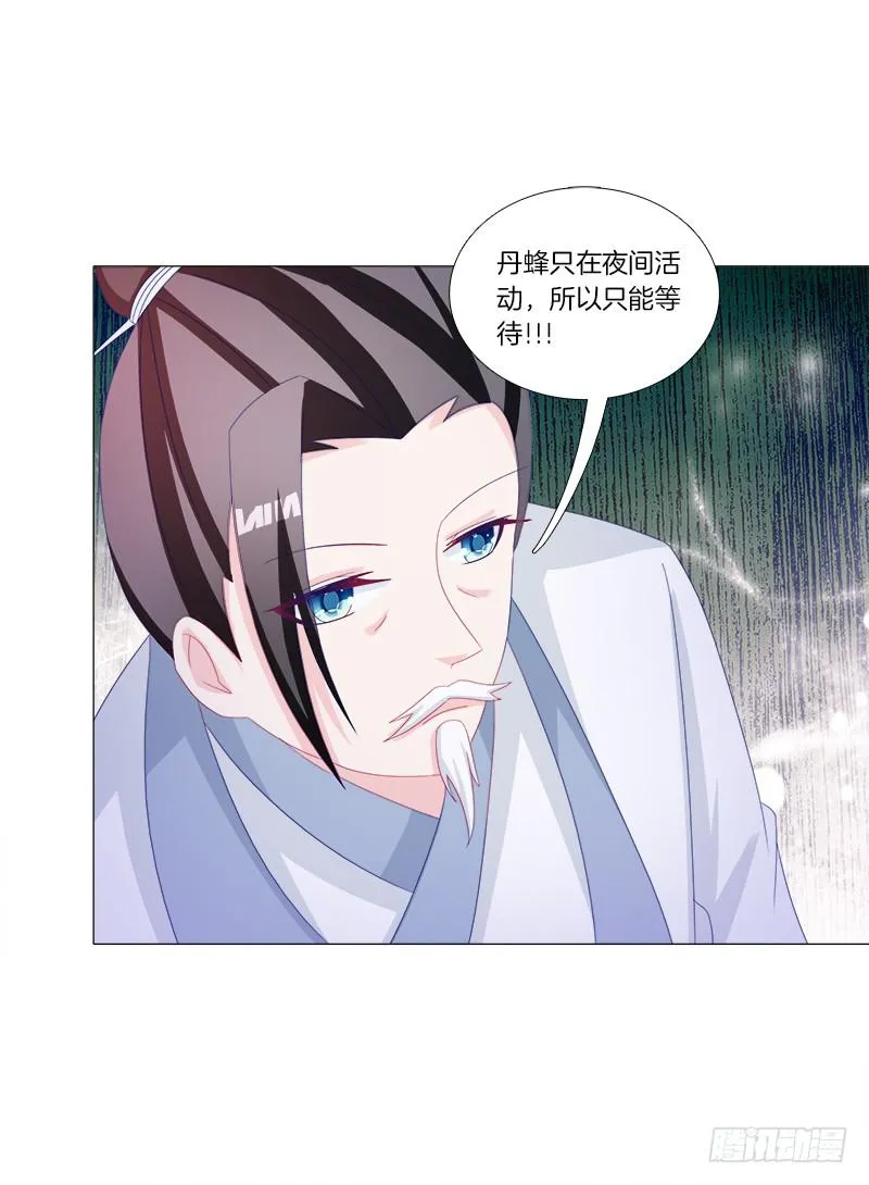 34、丹蜂觅踪 第14页
