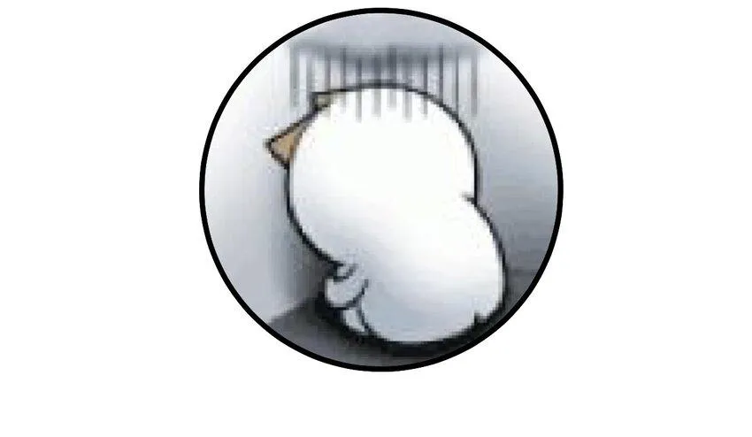 43 被发现了 第41页