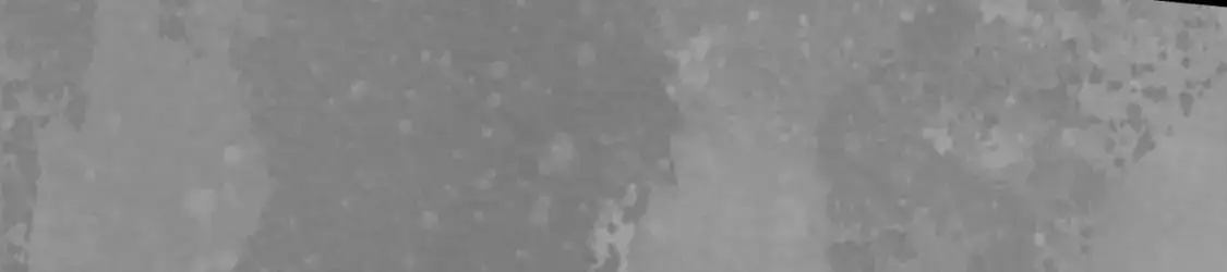 裴烈有异 第74页
