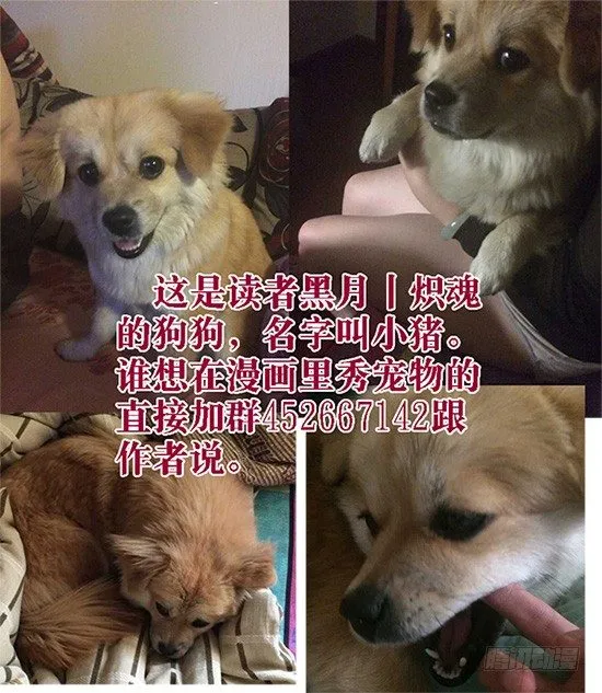 26：鬼与狗 第11页