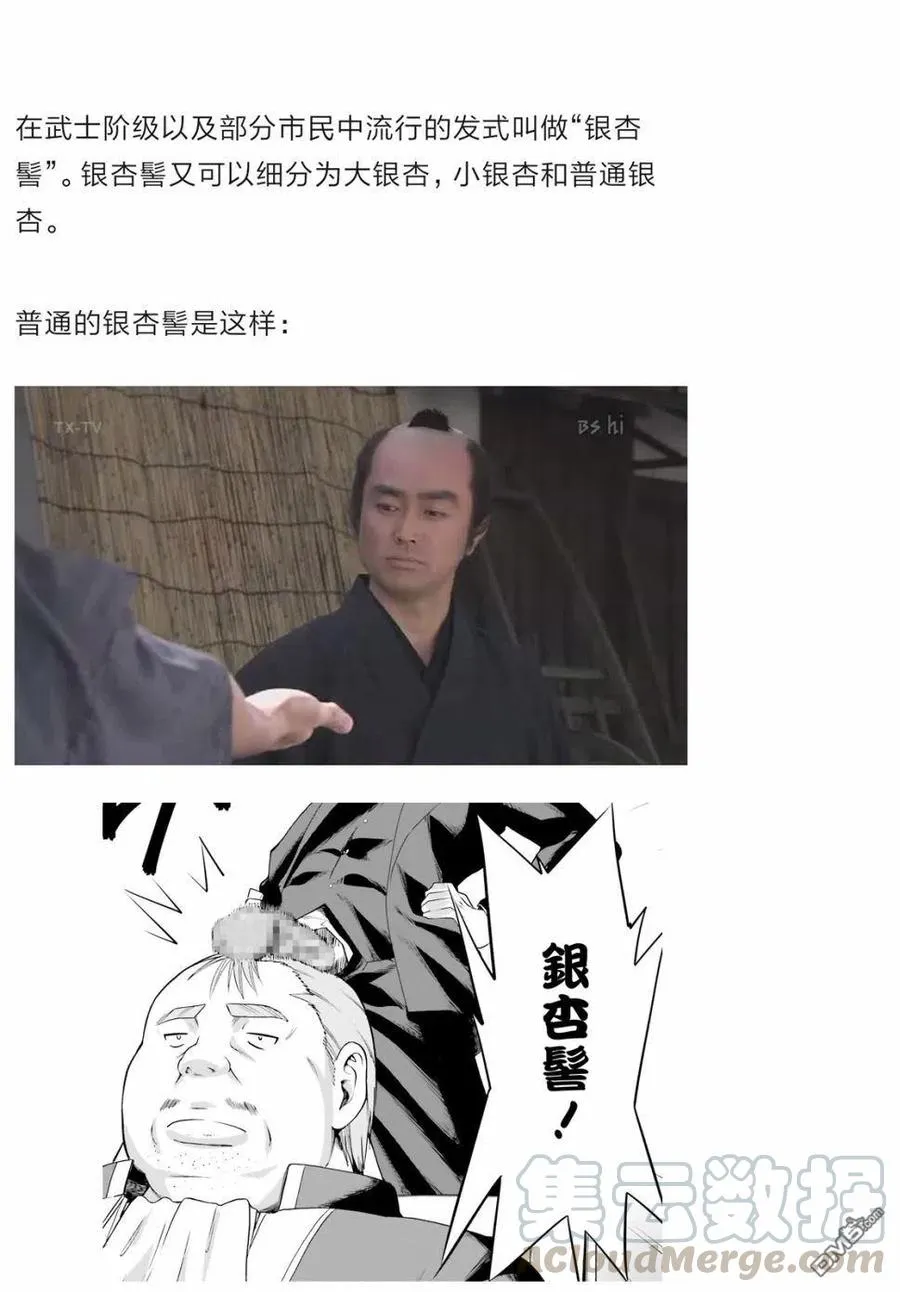 20 20 第41页