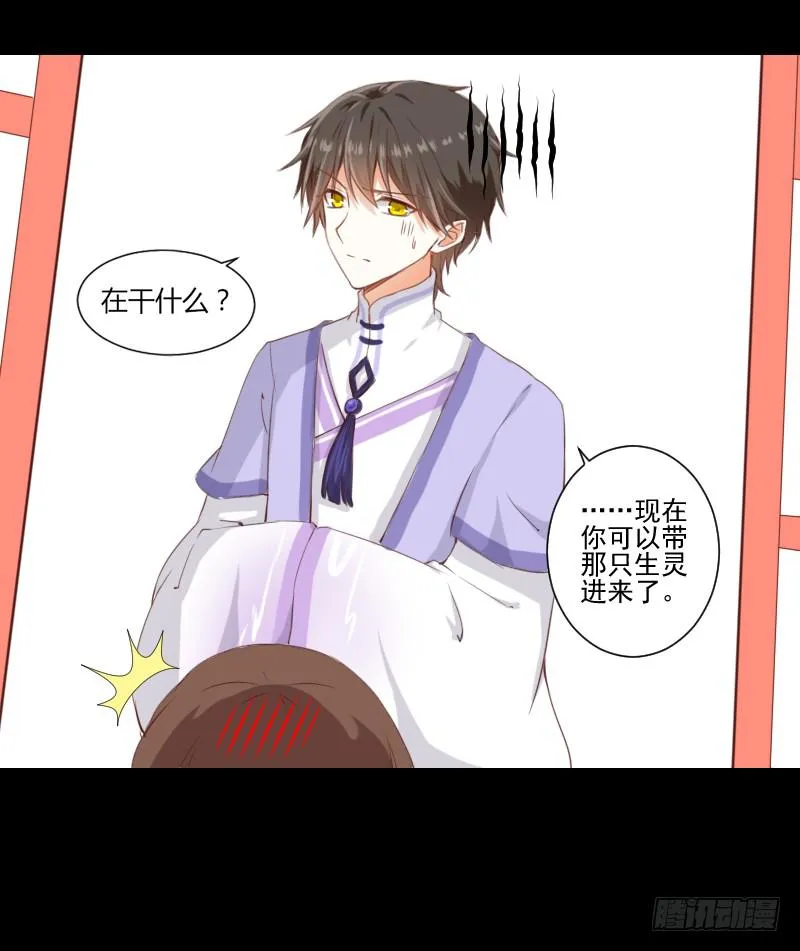 解决办法 第11页