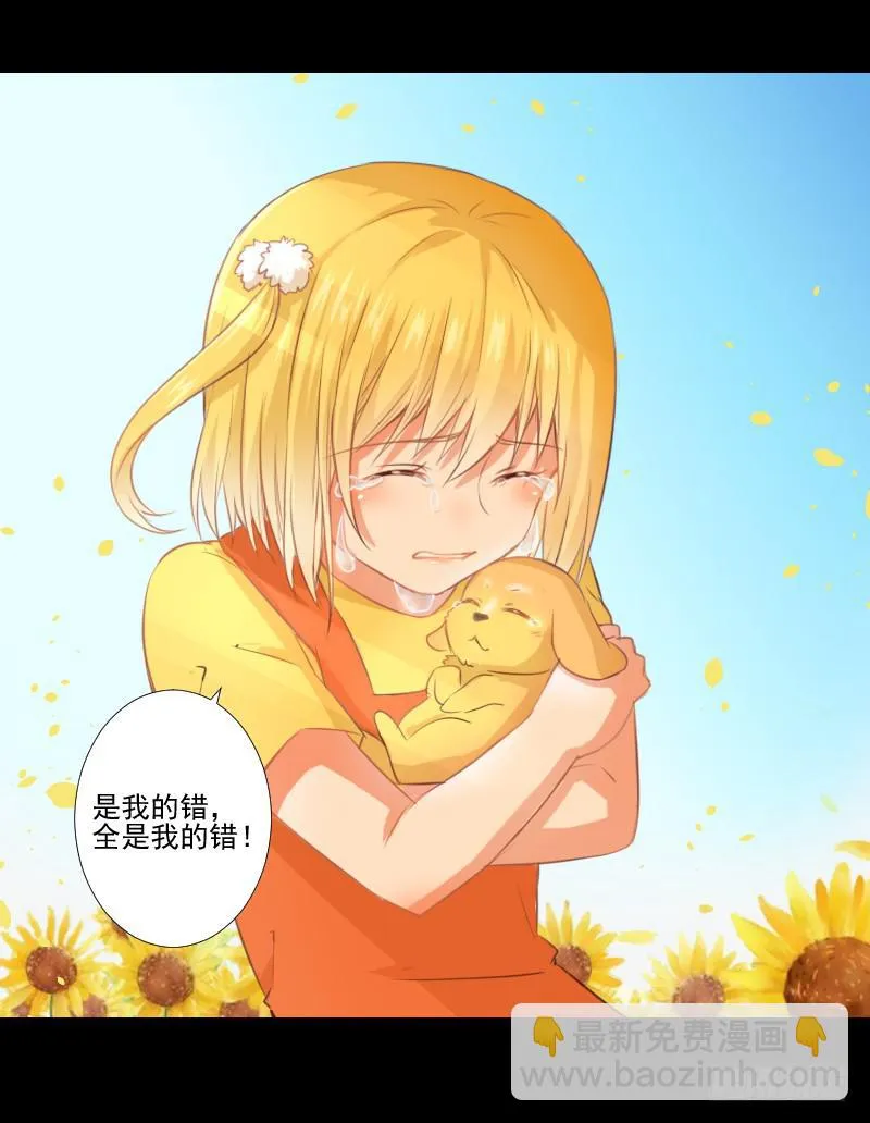 她的梦境 第13页