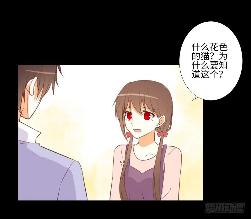 黑猫恶灵 第5页