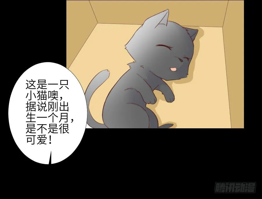黑纱一生 第19页