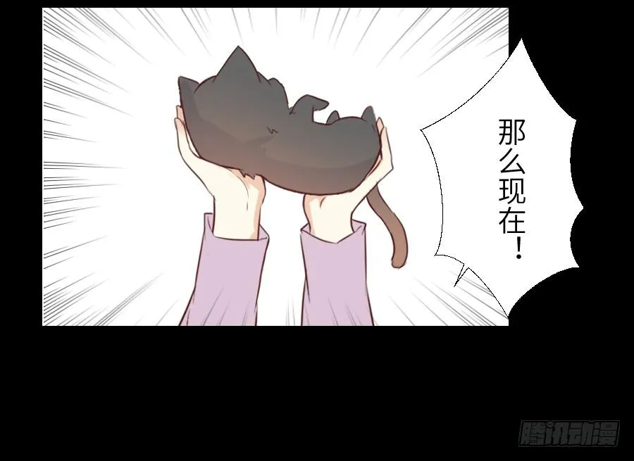 黑纱一生 第20页