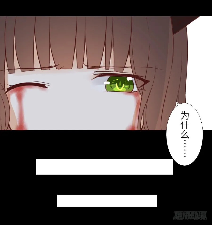 黑纱一生 第23页