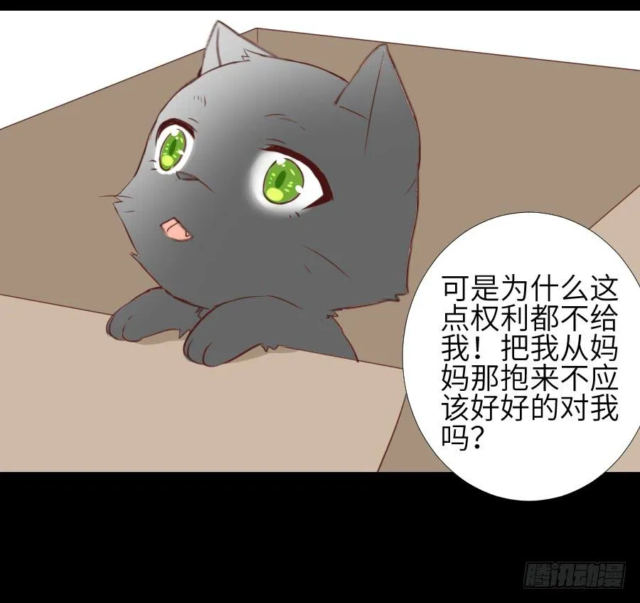 黑纱一生 第33页