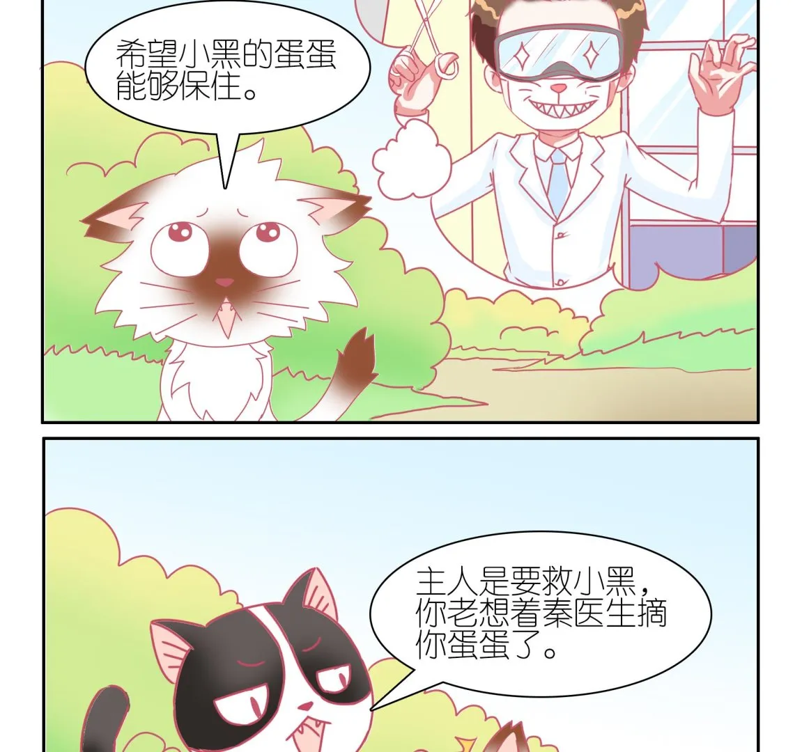 第53话 助喵能手 6 第10页
