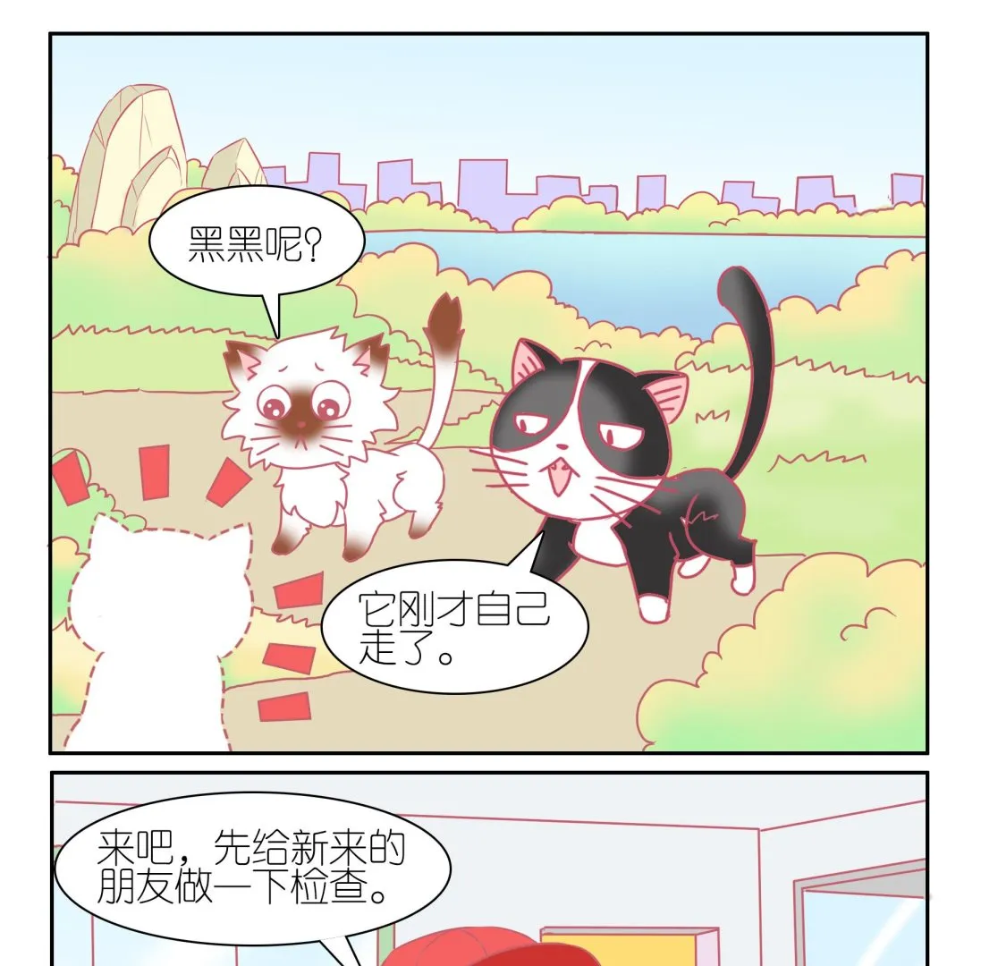 第53话 助喵能手 6 第19页