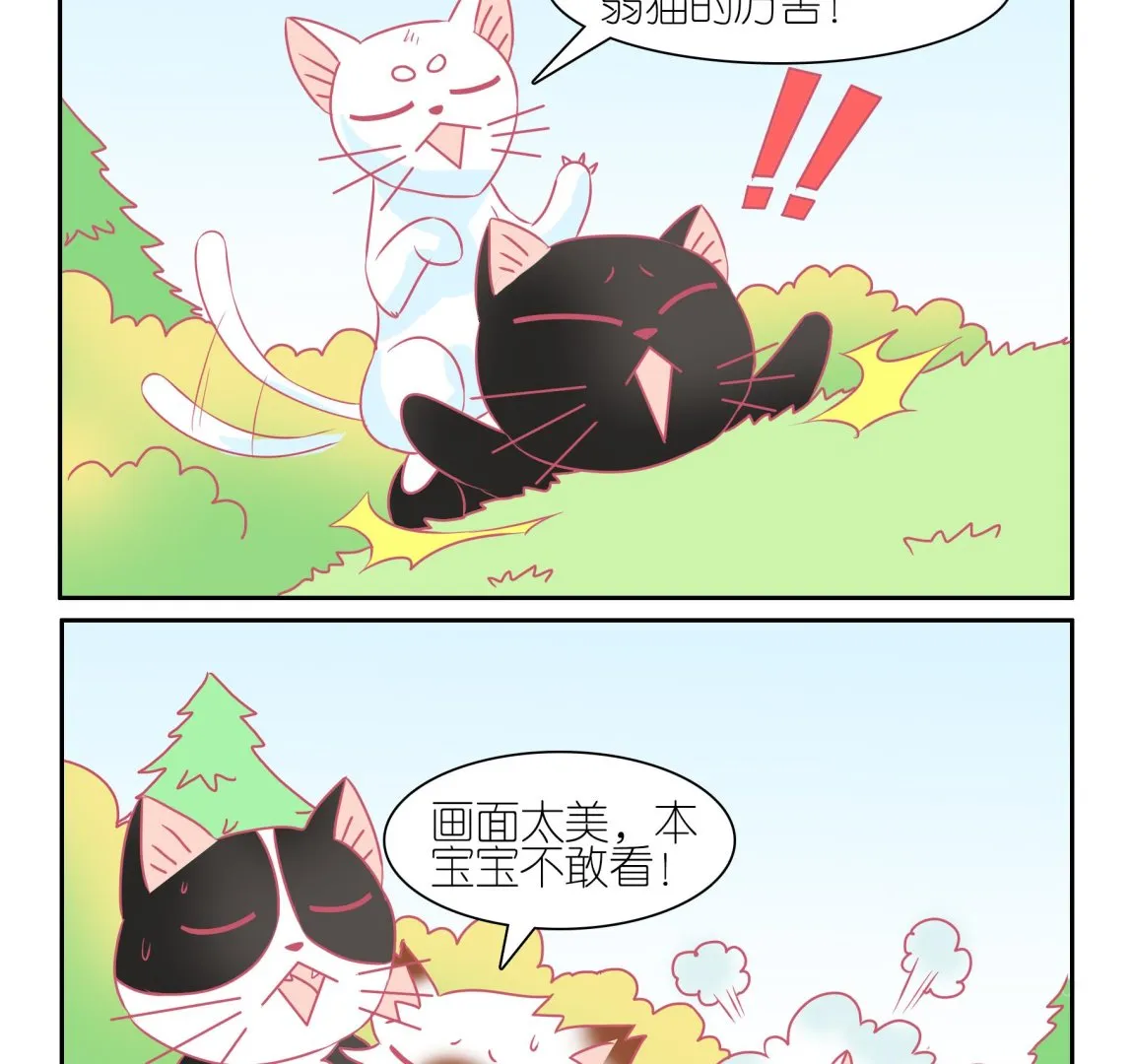 第50话 助喵能手 3 第10页