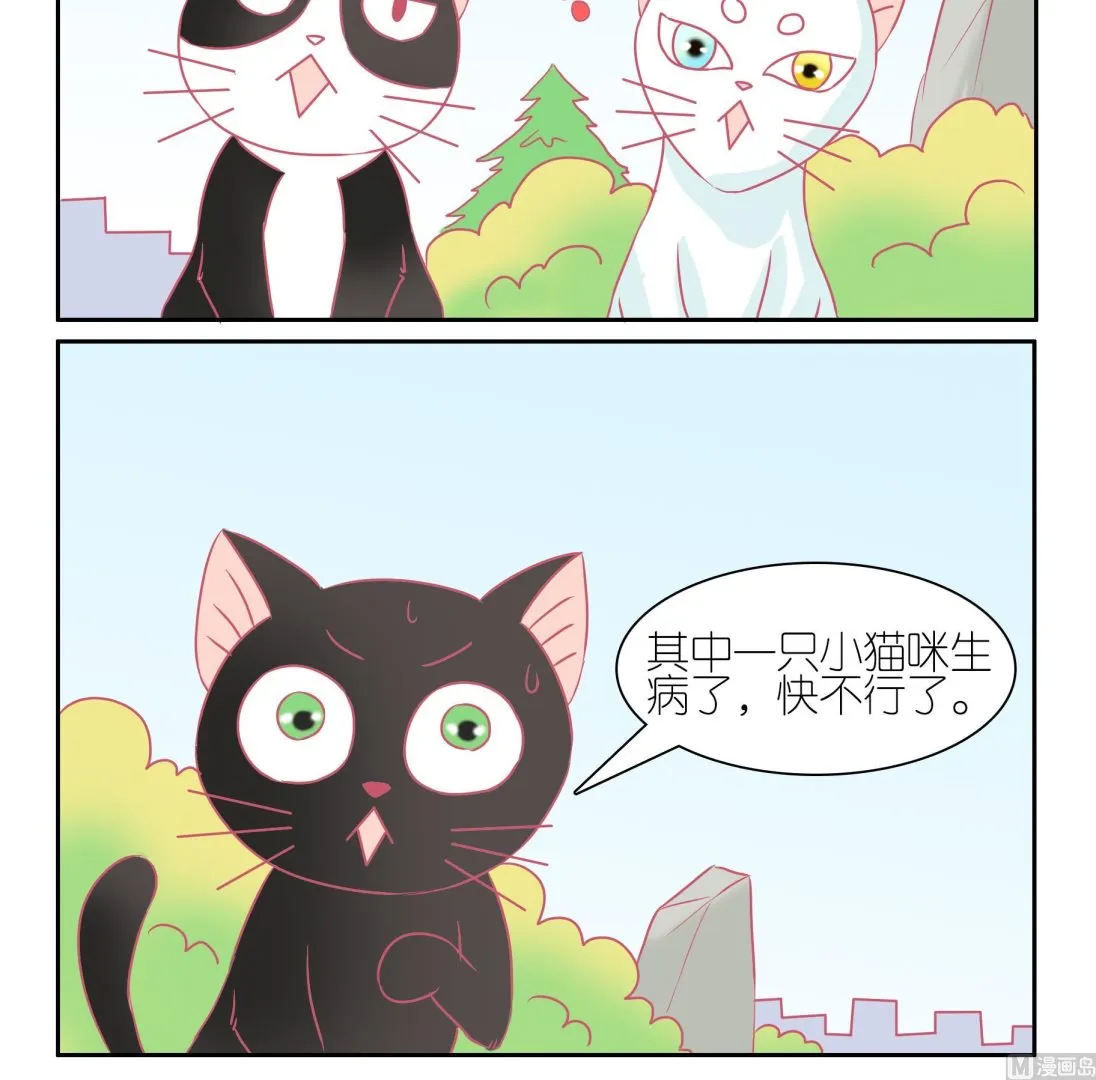 第50话 助喵能手 3 第21页
