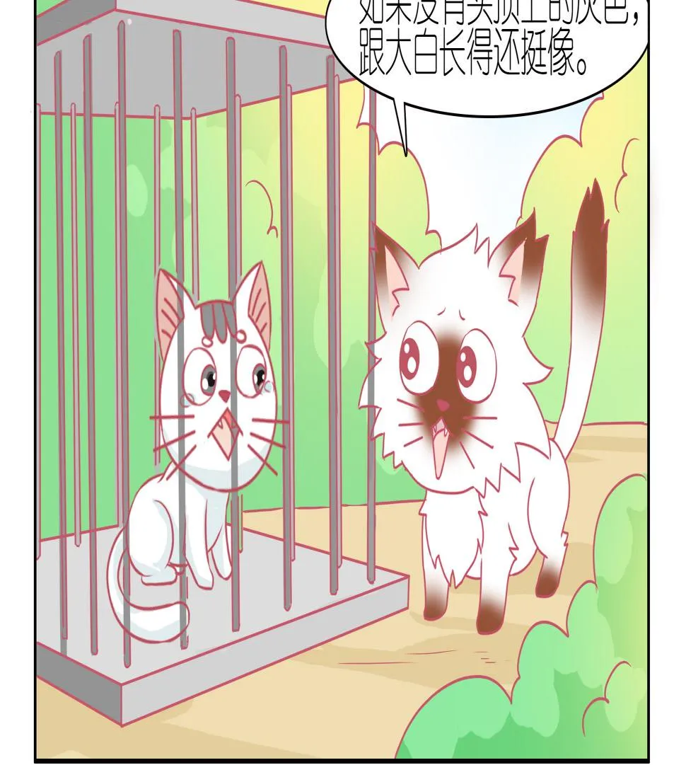第46话 喵星天使 2 第8页