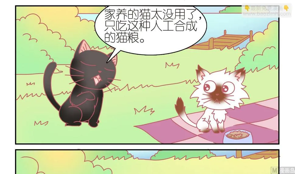 第44话 助喵为乐 第9页