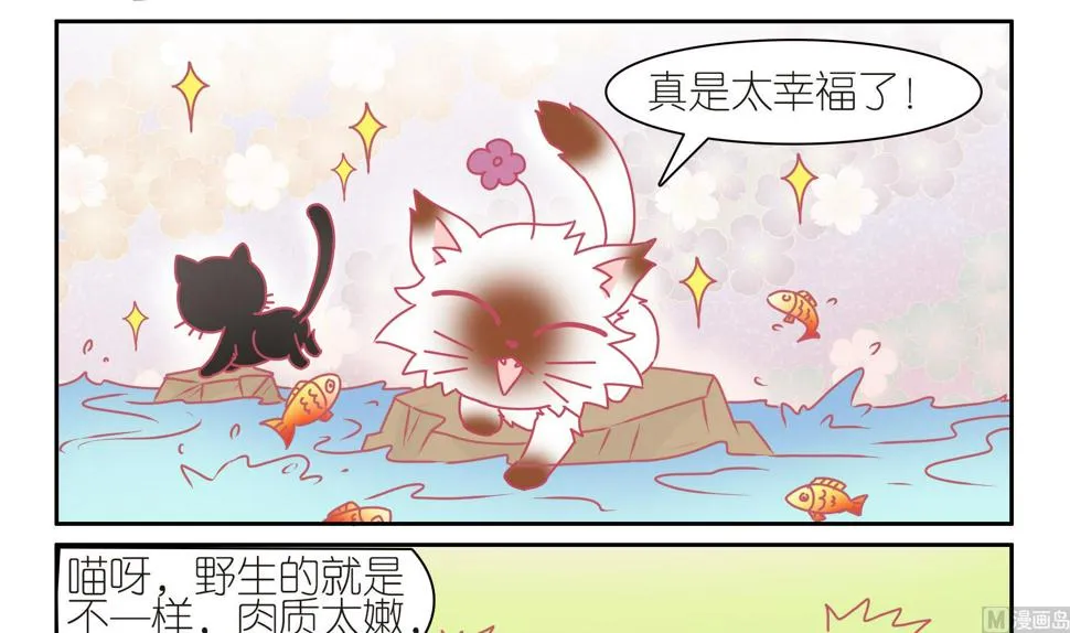 第44话 助喵为乐 第15页