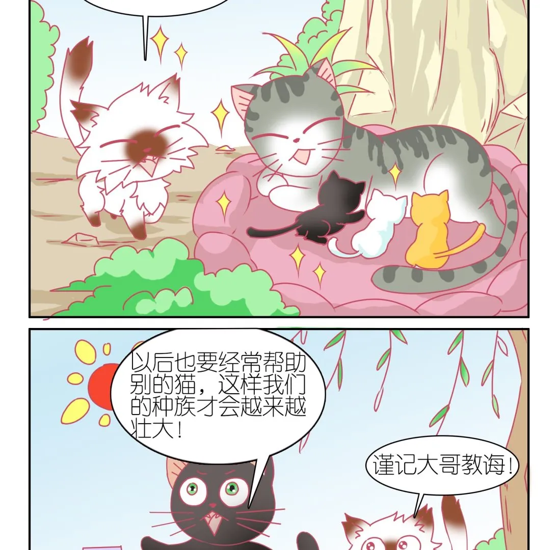 第44话 助喵为乐 第20页