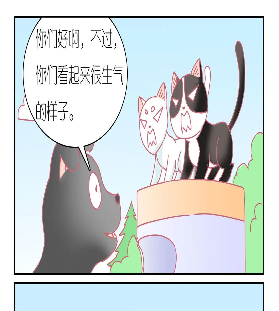 第41话 寻找伙伴 1 第13页