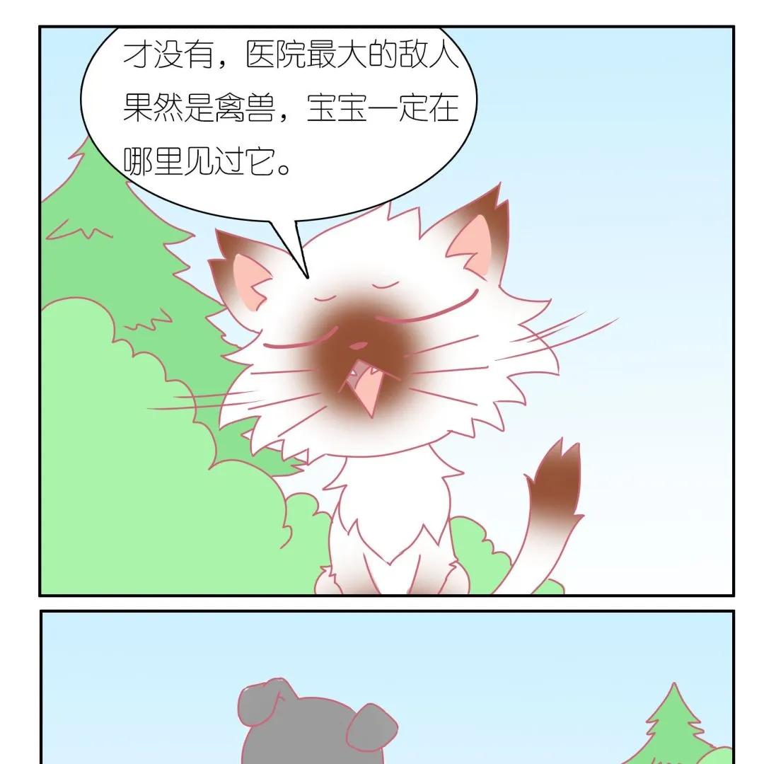 第41话 寻找伙伴 1 第19页
