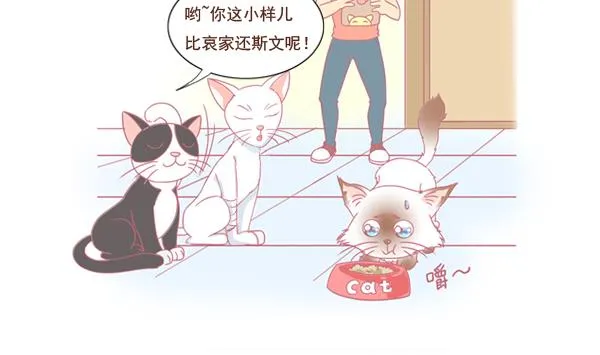 第1话 生病的嗨弟 1 第34页