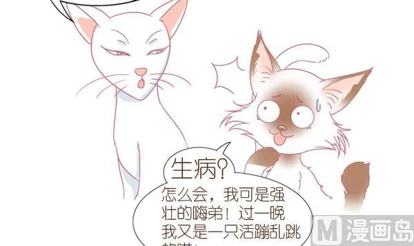 第1话 生病的嗨弟 1 第36页