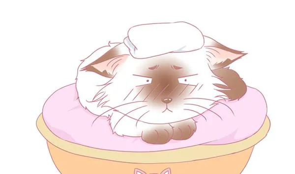 第1话 生病的嗨弟 1 第38页