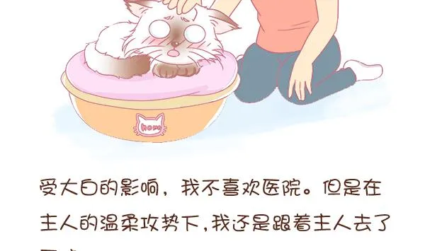 第2话 生病的嗨弟 2 第2页