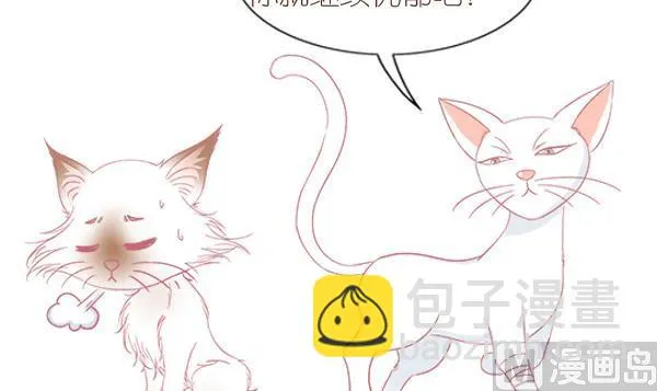 第6话 检查结果 2 第15页