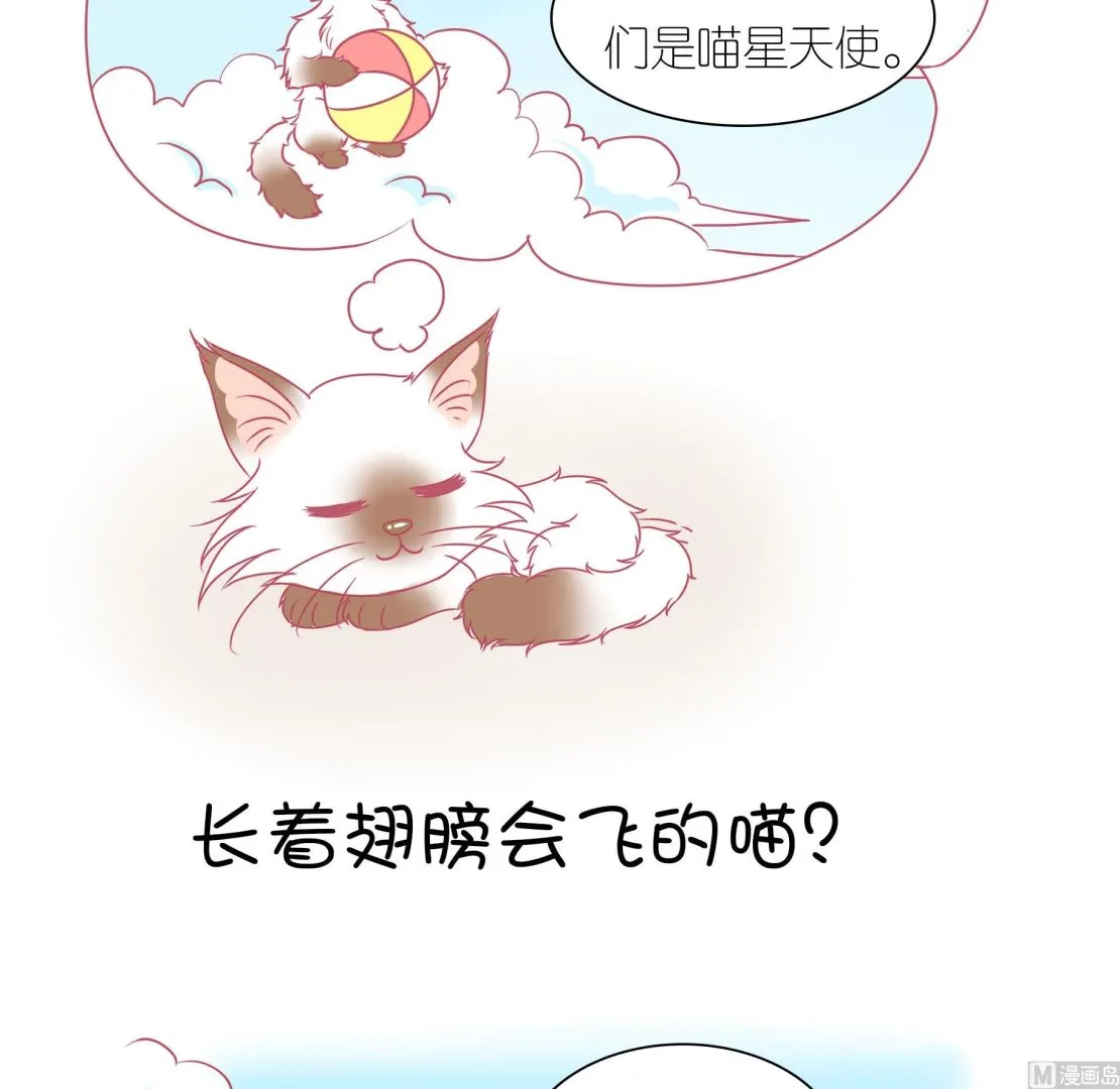 第29话 喵星天使 第7页
