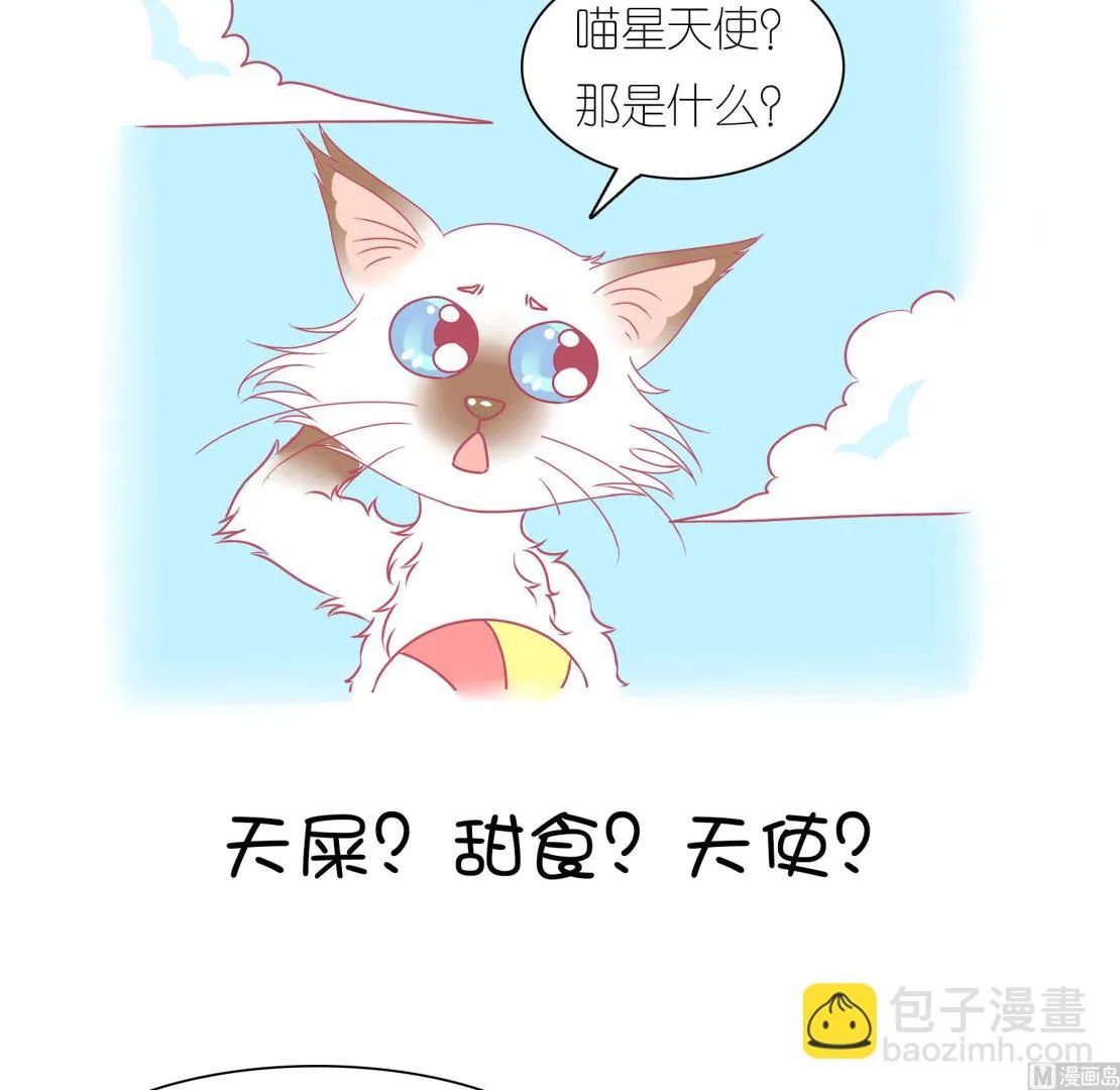 第29话 喵星天使 第8页
