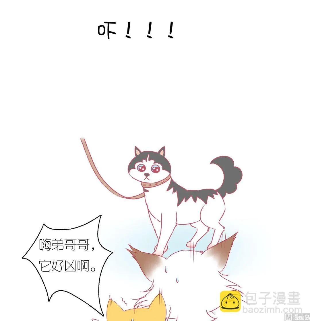 第30话 学好外语很重要 1 第8页
