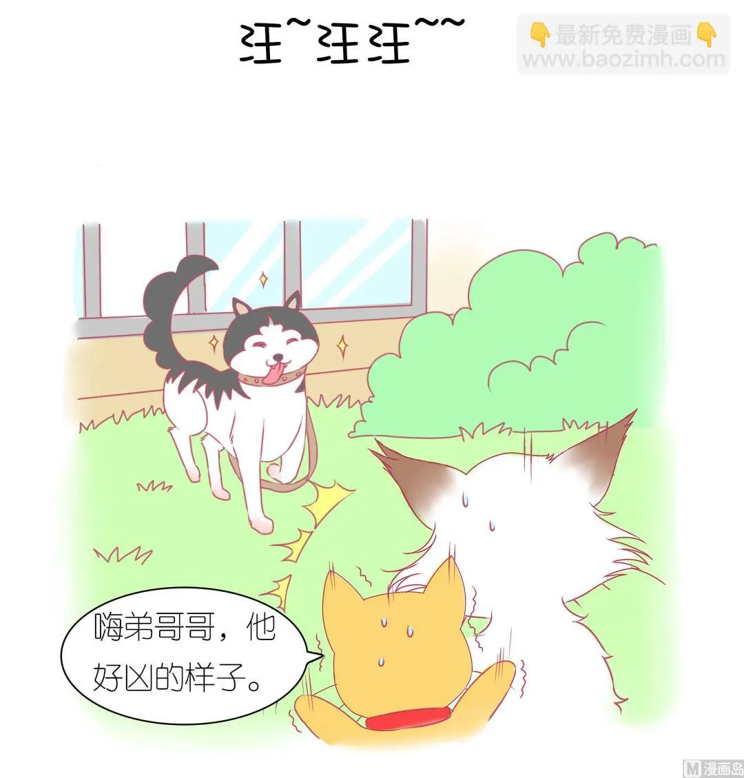 第30话 学好外语很重要 1 第17页