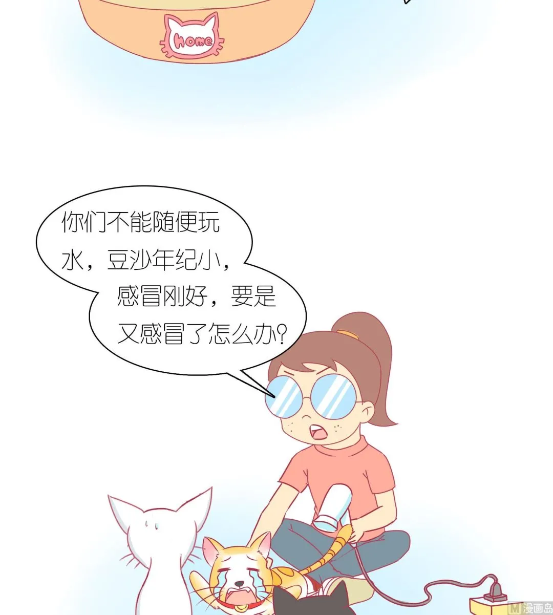 第33话 小夏的愤怒 第3页
