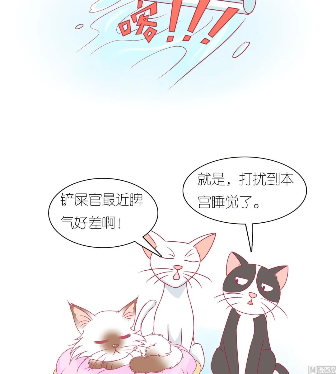 第33话 小夏的愤怒 第6页