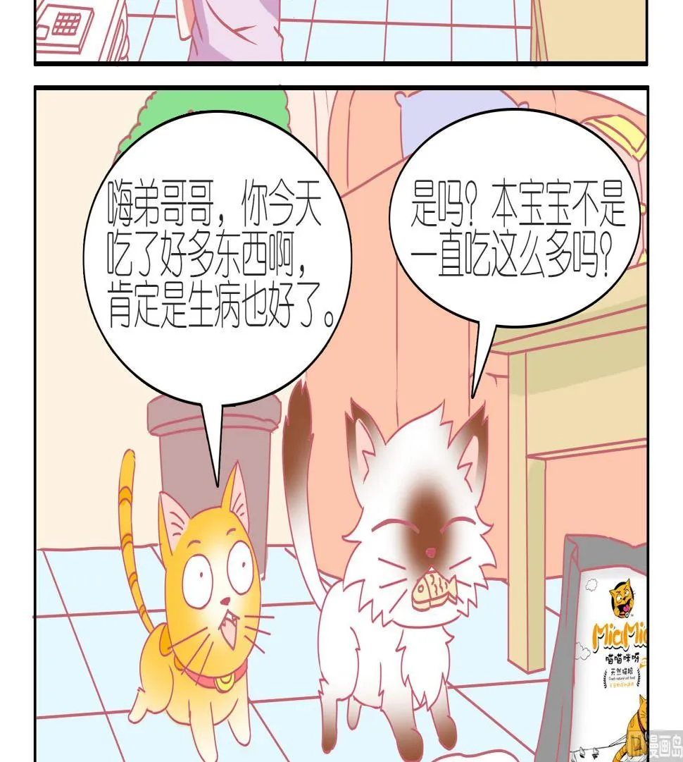 第38话 告别豆沙 1 第3页