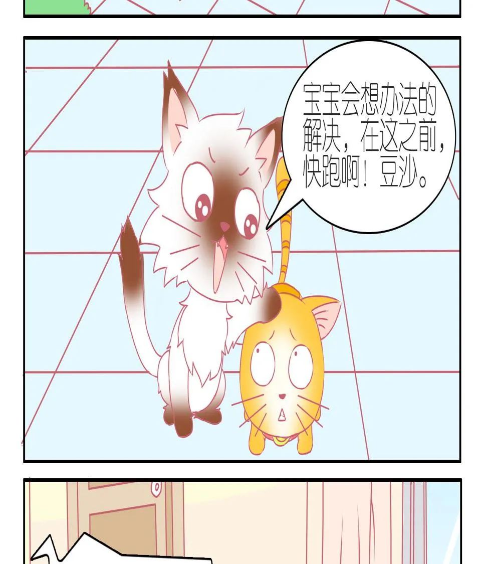 第38话 告别豆沙 1 第5页